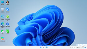 Win11 x64 专业版 21H2 技术员版（2021-08）