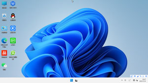 Win11 x64 专业版 技术员装机版（2021-11）