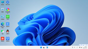 Win11 x64 专业版 （21H2）装机版（2022-01）