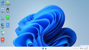 Win11 x64 专业版 技术员装机版（2022-04）